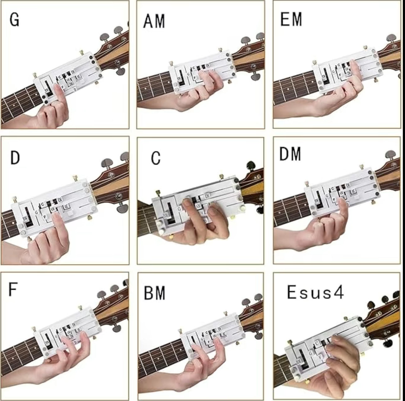 Acordes de guitarra Presser™️