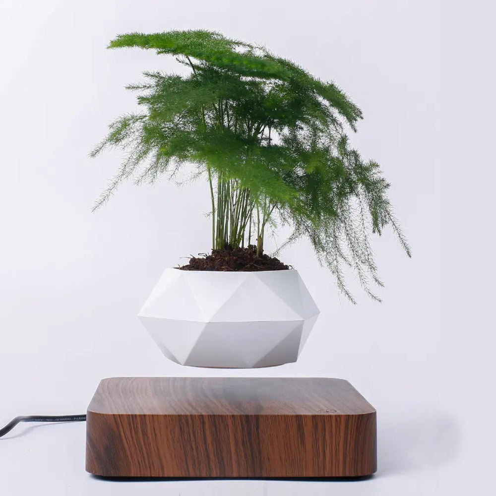 Maceta moderna de levitación magnética para plantas de estilo nórdico