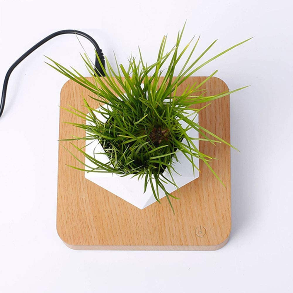 Maceta moderna de levitación magnética para plantas de estilo nórdico