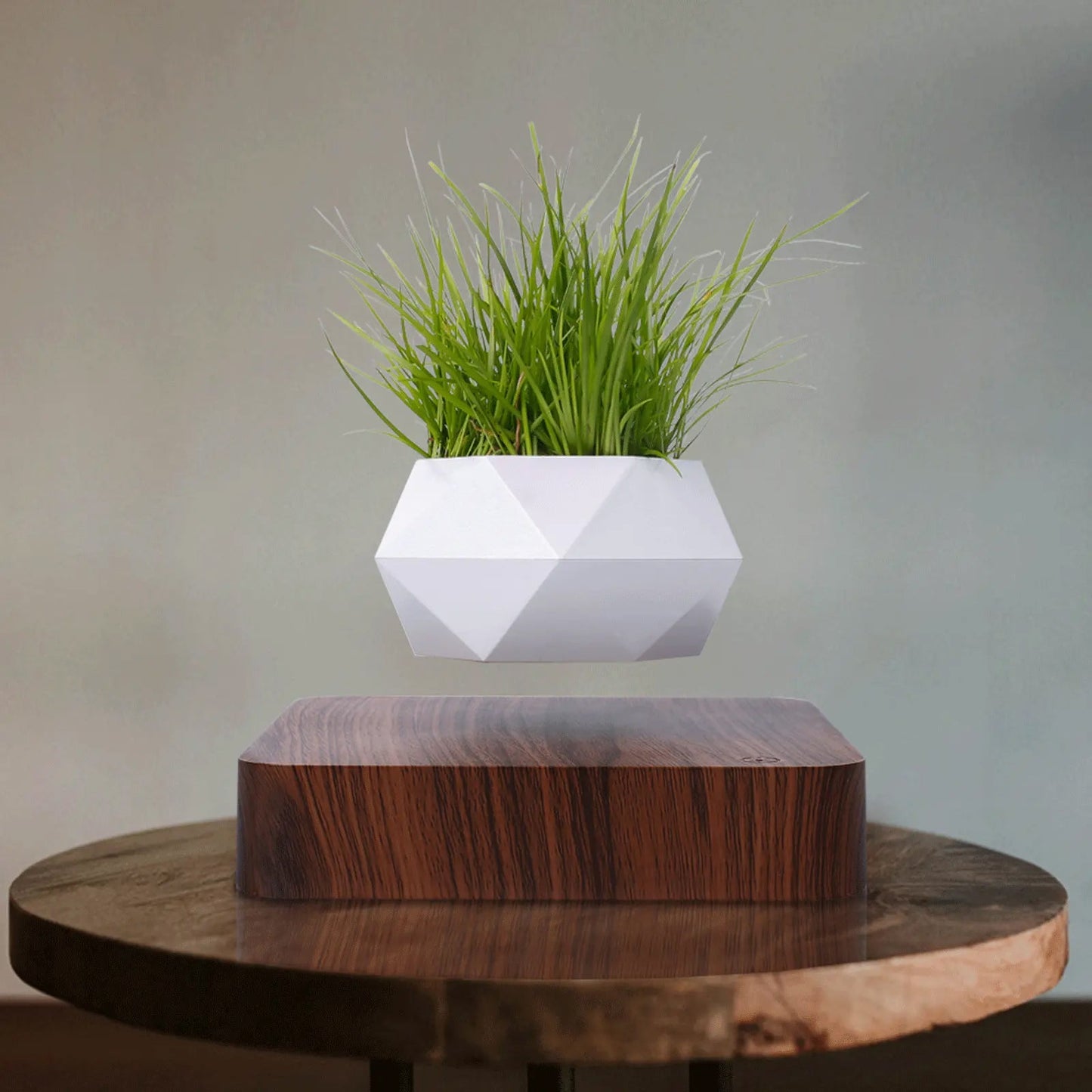 Maceta moderna de levitación magnética para plantas de estilo nórdico