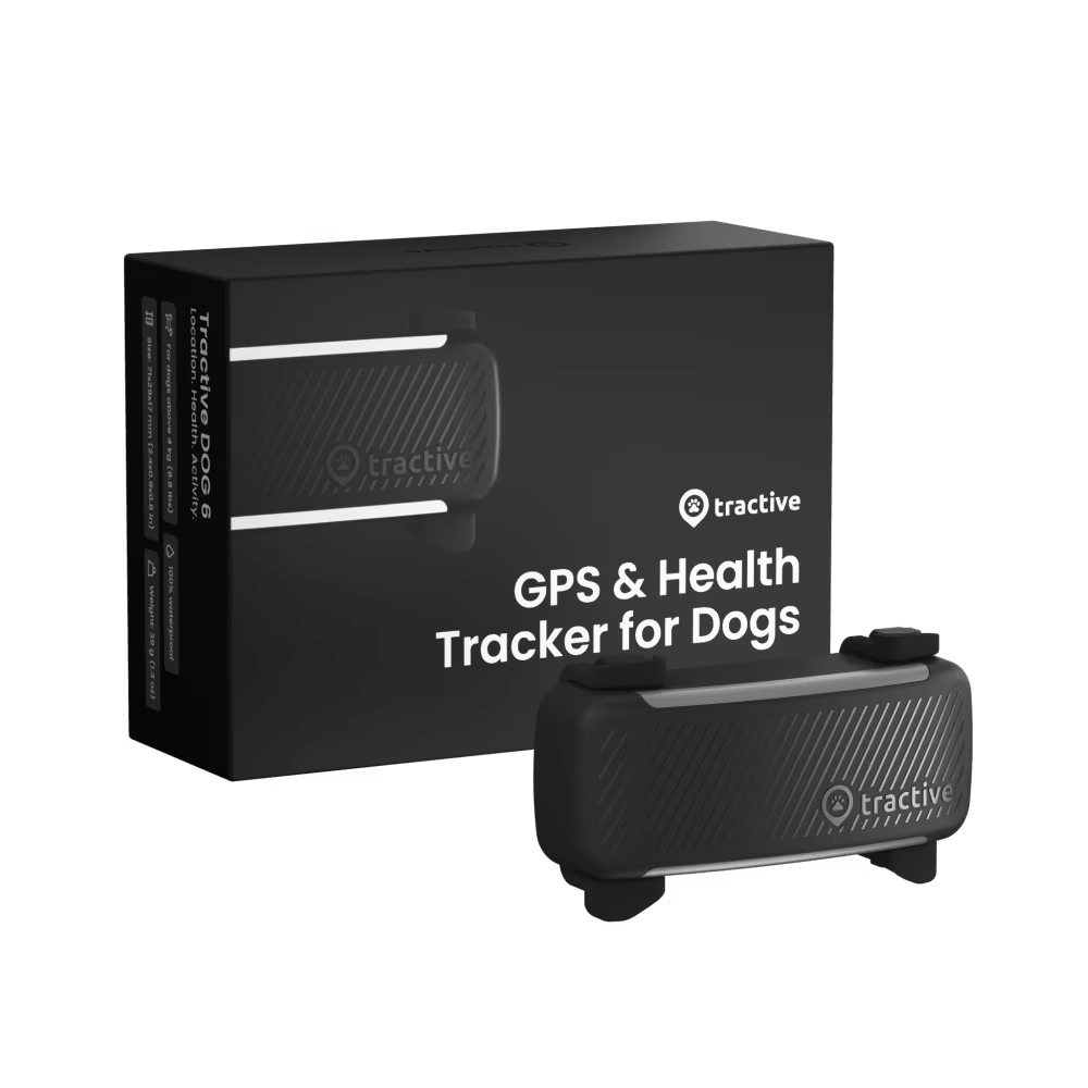 Localizador GPS para perros