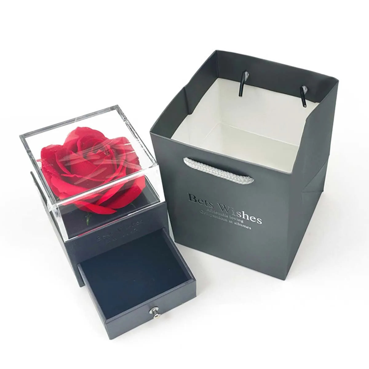 Rosa Eterna | Flor Auténtica y Collar de Regalo | SAN VALENTIN