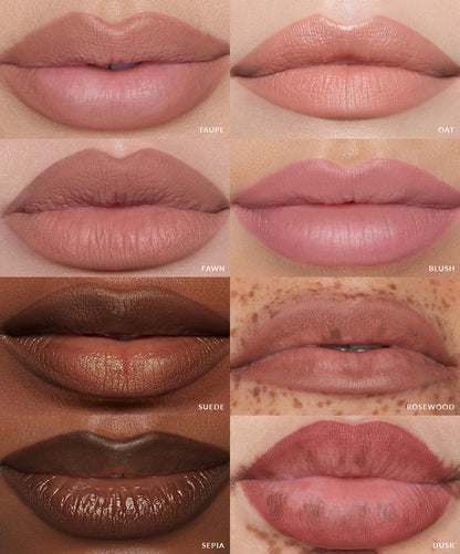 Escultura labial