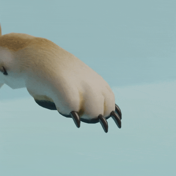 Soft Pet Paws™ - Afilador de uñas para perros