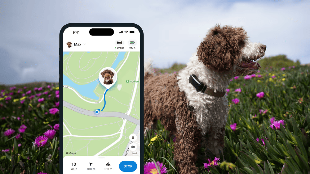 Localizador GPS para perros