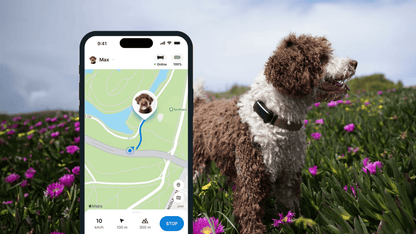 Localizador GPS para perros